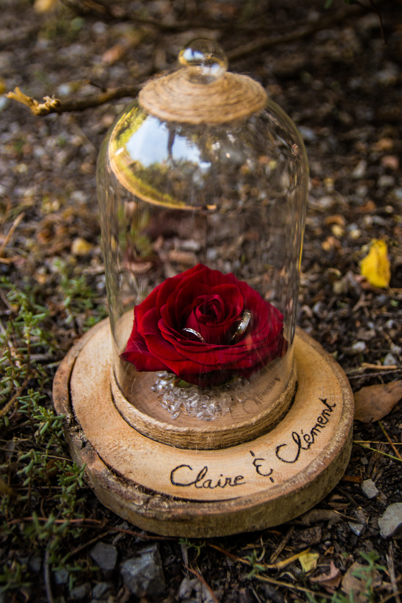 L' Oeil Noir Photographie